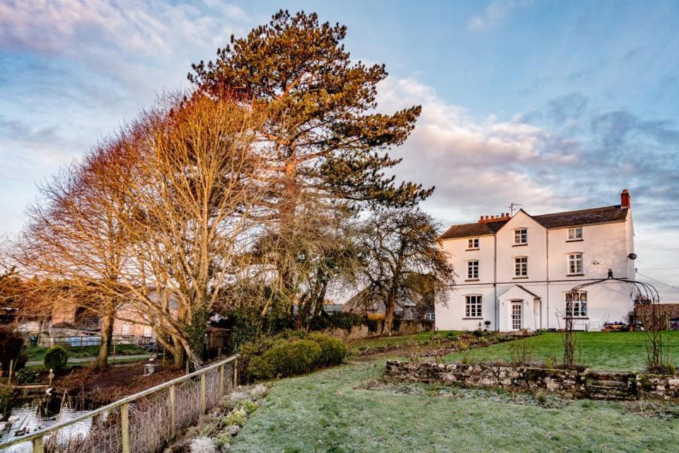 Art House B & B Raglan Exterior foto
