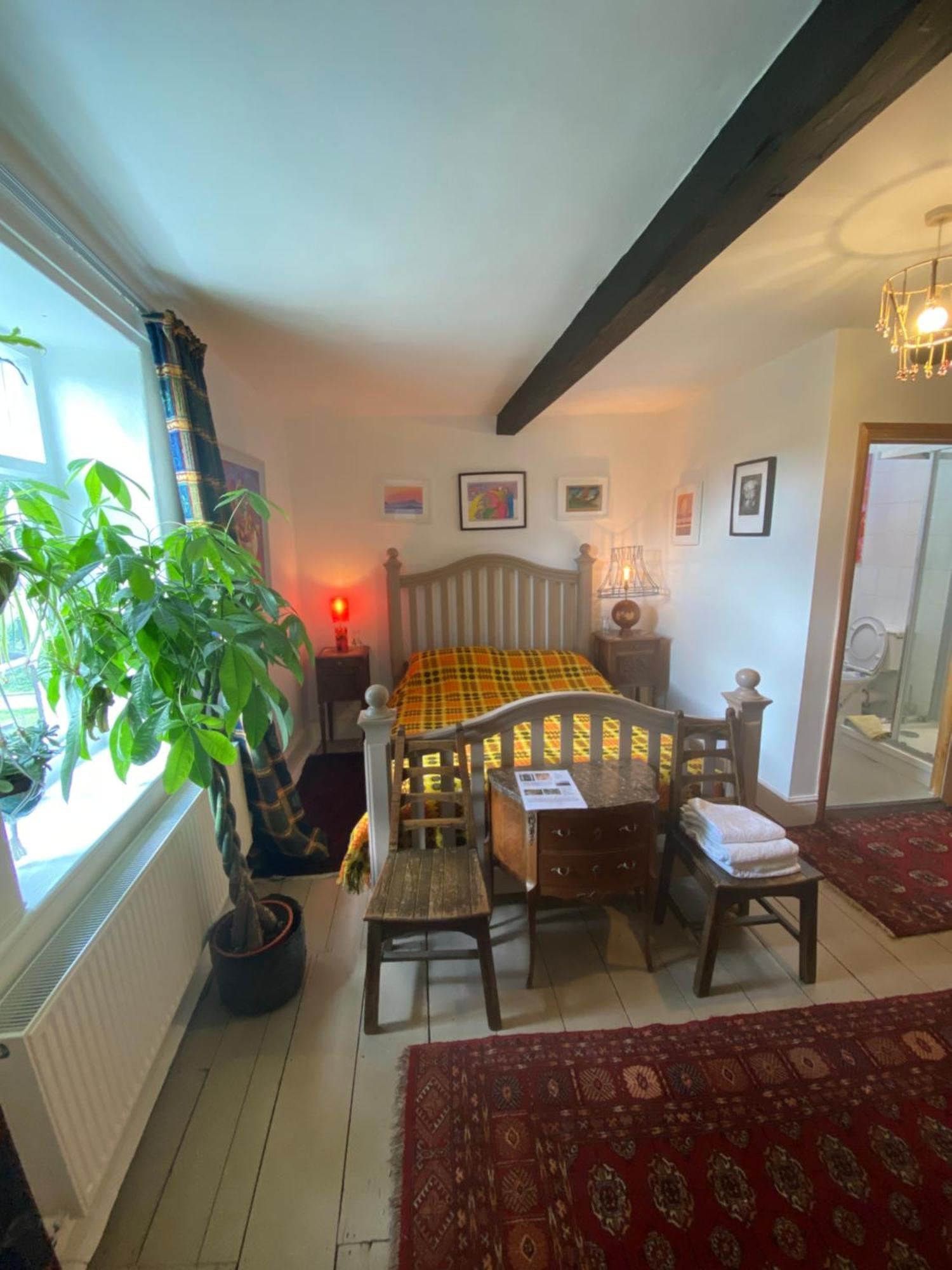 Art House B & B Raglan Cameră foto